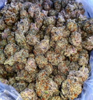 Chemdawg