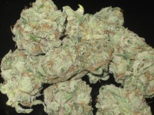 Moonwalker Kush