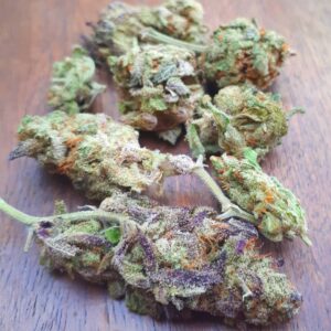 Girl Scout Cookies