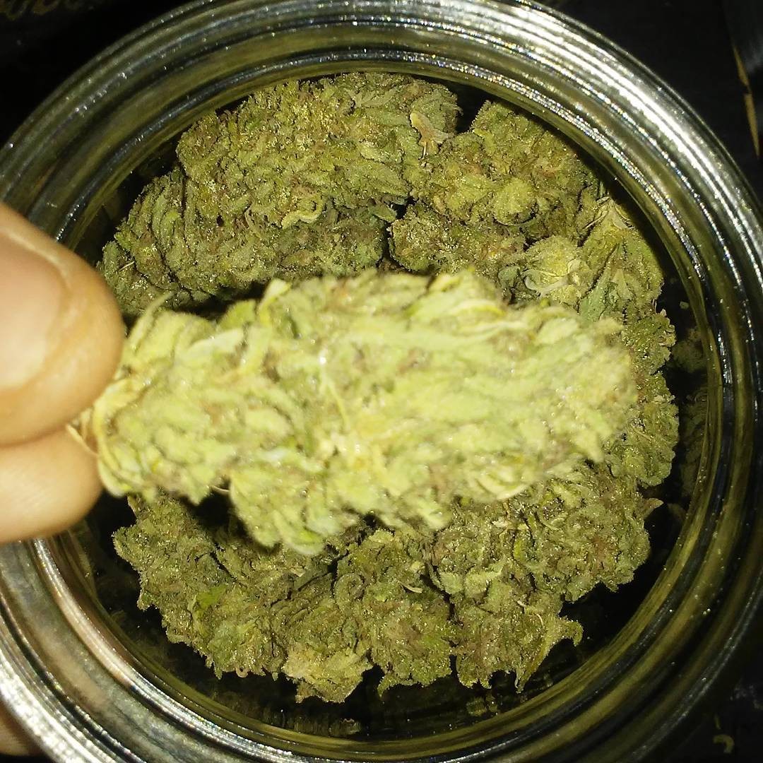Mango cannabis Strain